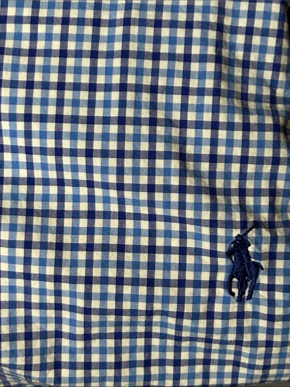 Ralph Lauren Blue and White Gingham Button-Down Shirt - Picture 2 of 7